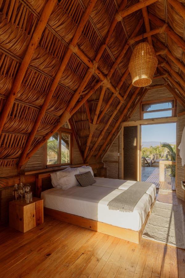 Baja Nomads Hotel - Adults 15 Plus Тодос-Сантос Номер фото