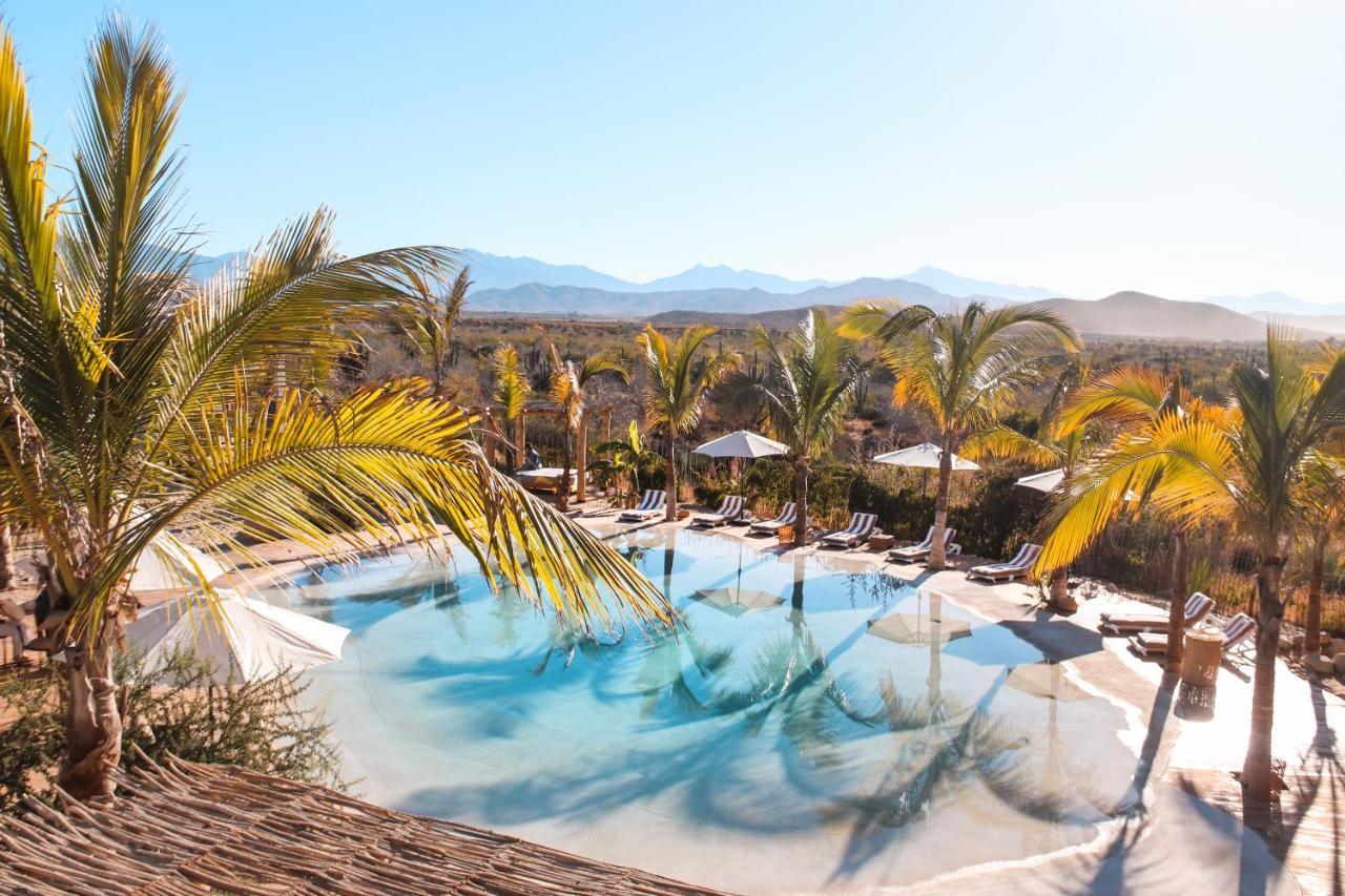 Baja Nomads Hotel - Adults 15 Plus Тодос-Сантос Экстерьер фото